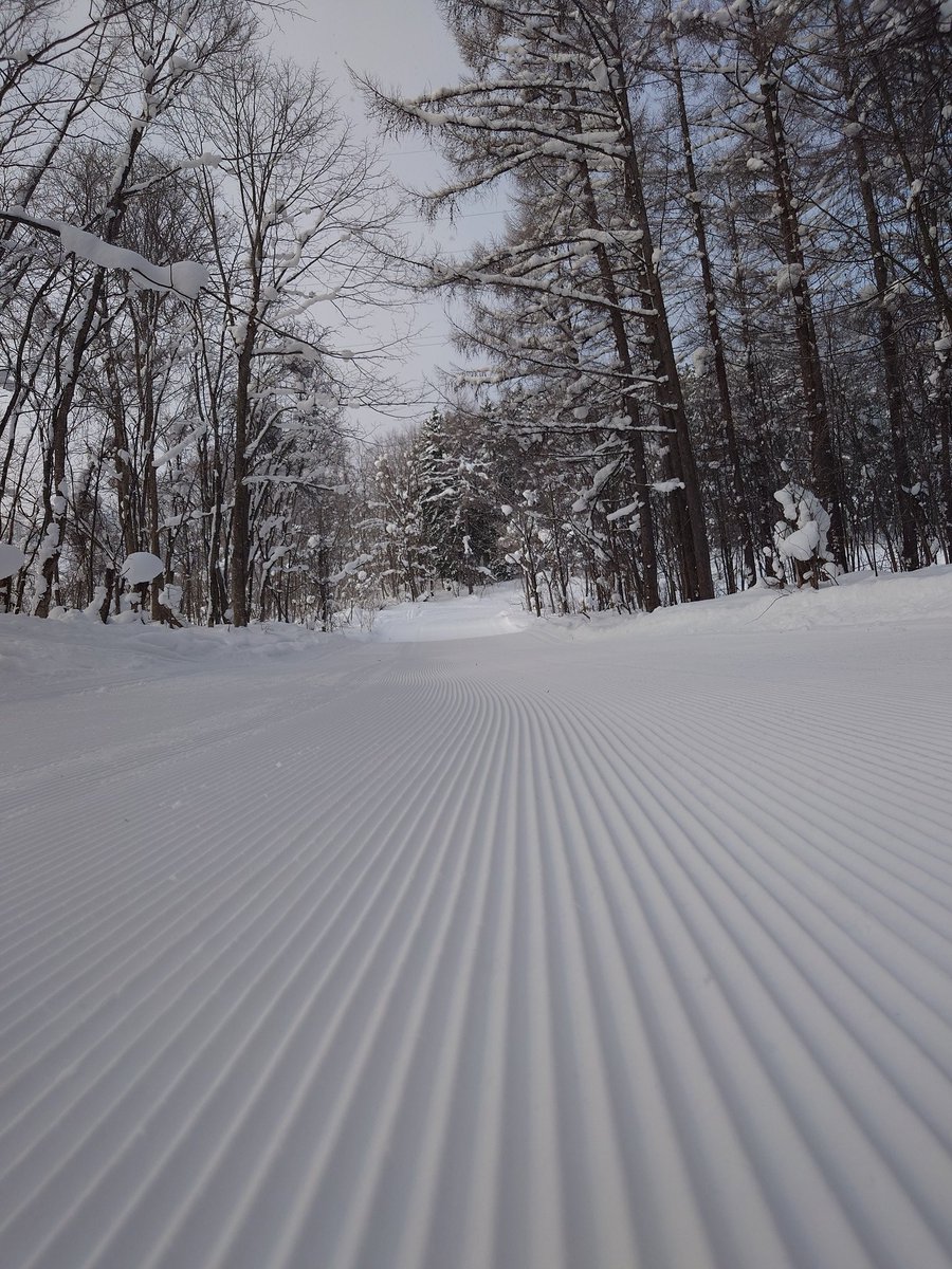 1/18(日) ☁️ −8℃ 積雪120cm 24時間降雪 なし 【営業時間10:00〜16