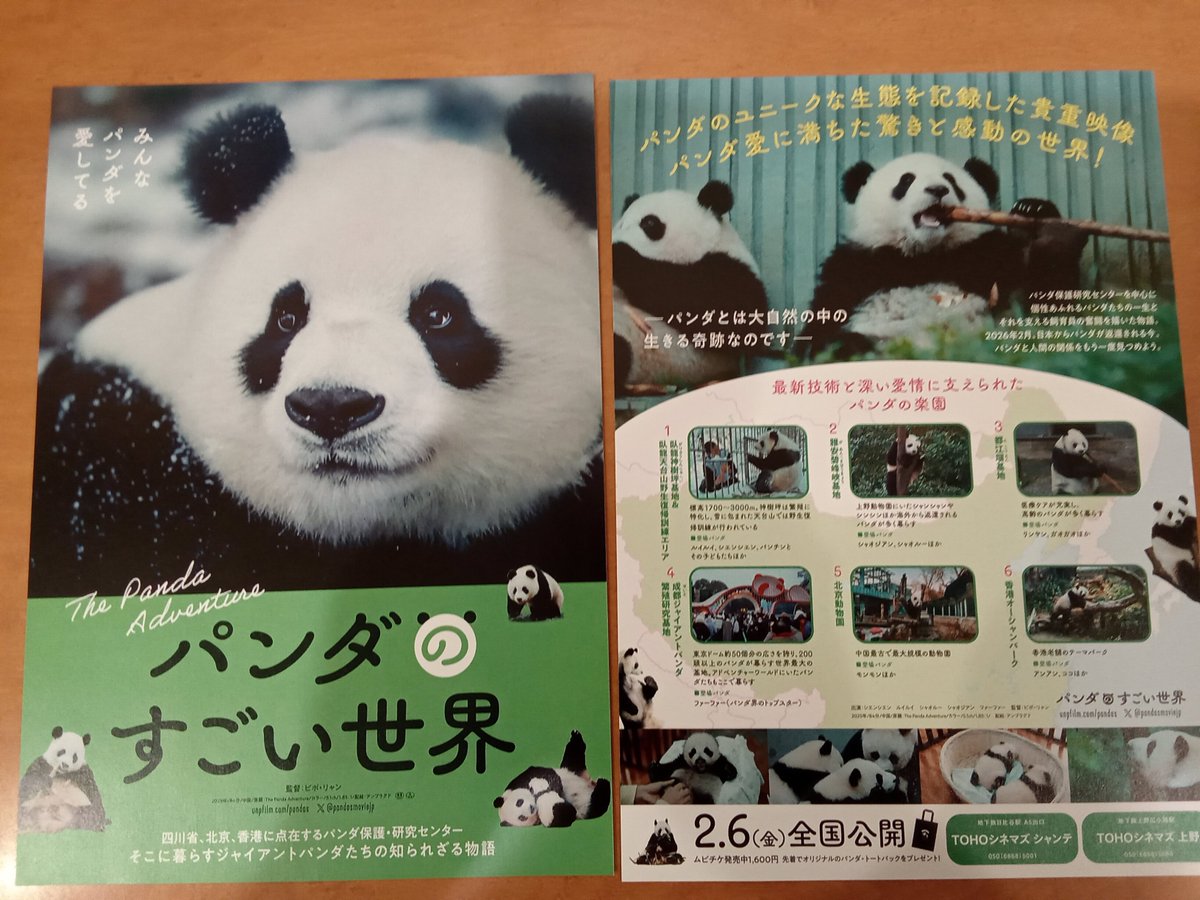 会議中のパンダ様 hq720.jpg?sqp=-