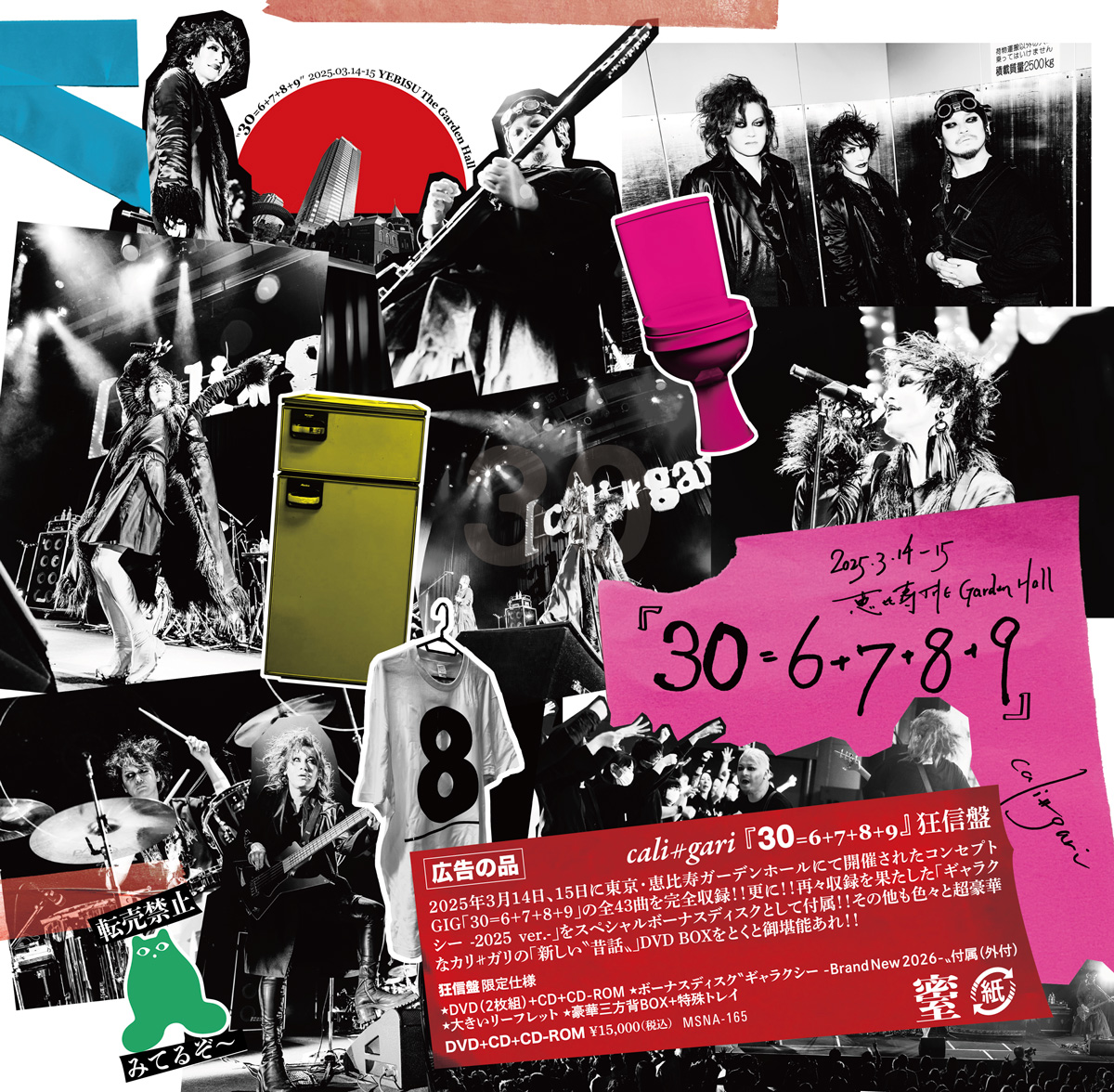 2026.1.25リリース決定！】 カリ≠ガリ結成三〇周年を締め括った2025年