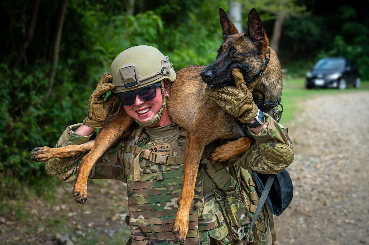 横田基地 米空軍 USAF 36 EAGLE AIRLIFTERS アロハシャツ Amazon.co.jp