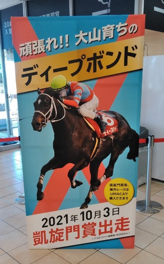 02 日本ダービー他3枚 タニノギムレット現地購入 単勝馬券 02 日本