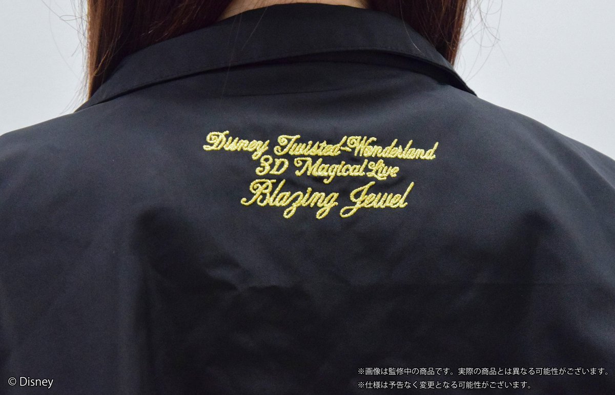 ⋱💎商品紹介💎⋰ 『ディズニー ツイステッドワンダーランド