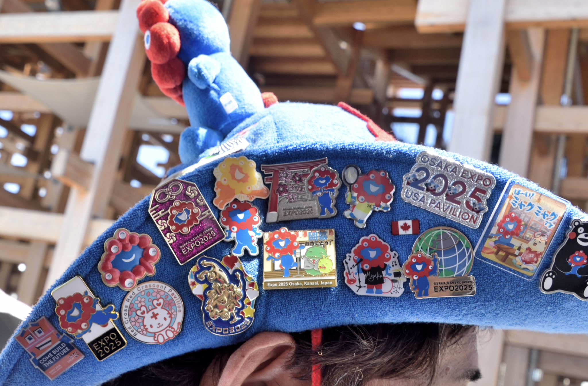 ☆激レア☆【大阪・関西万博】ルーマニア パビリオン ペリカン