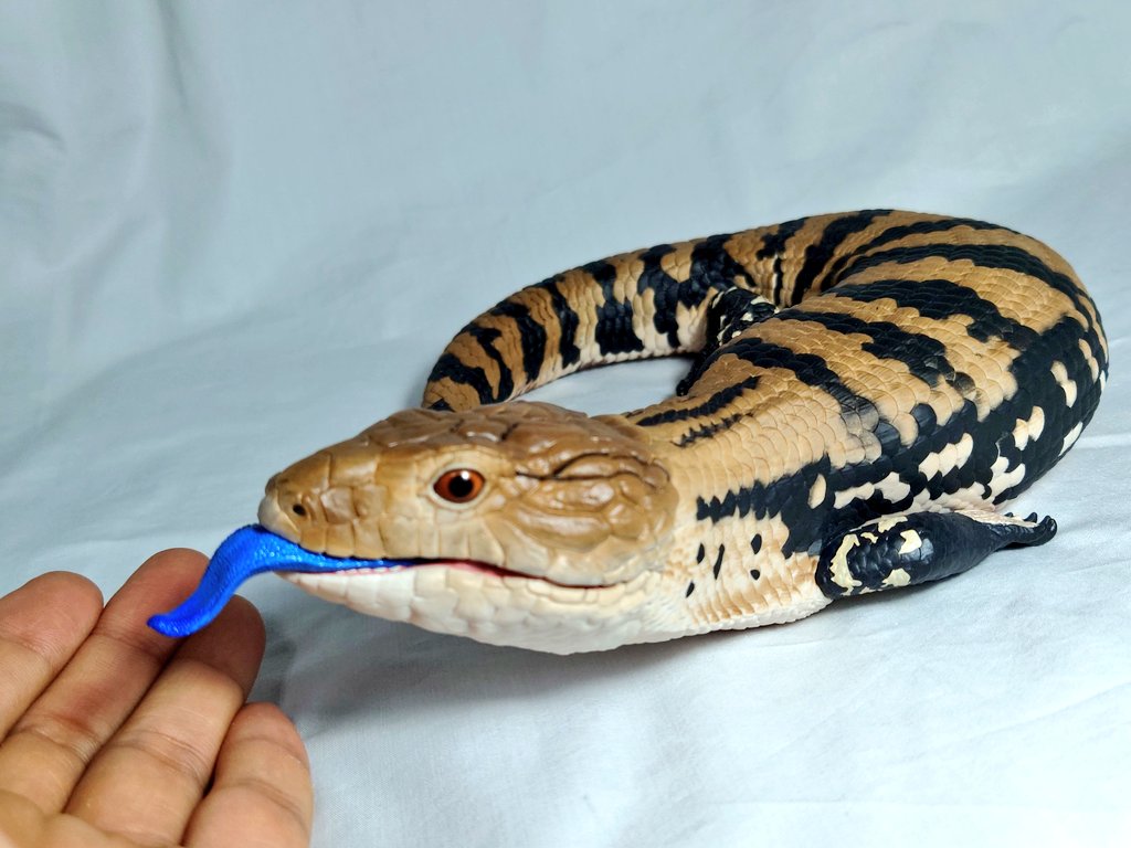 一番くじ 爬虫類＆両生類～Tiny Friends～vol.2 A賞アオジタトカゲ C賞