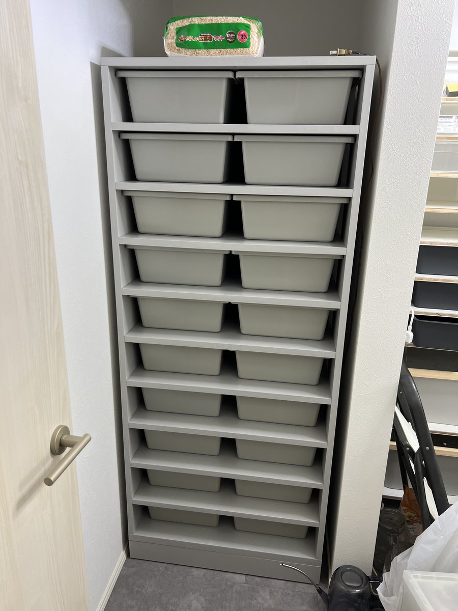 ボールパイソン タブ ラック 13個 ボールパイソン タブ ラック 13個