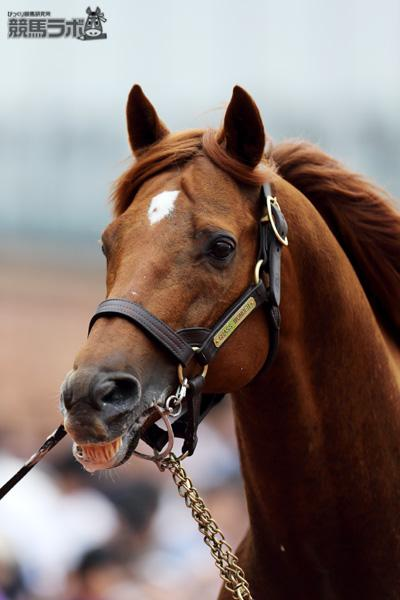 ウマ好き! (@cn_umasuki) / Posts / X