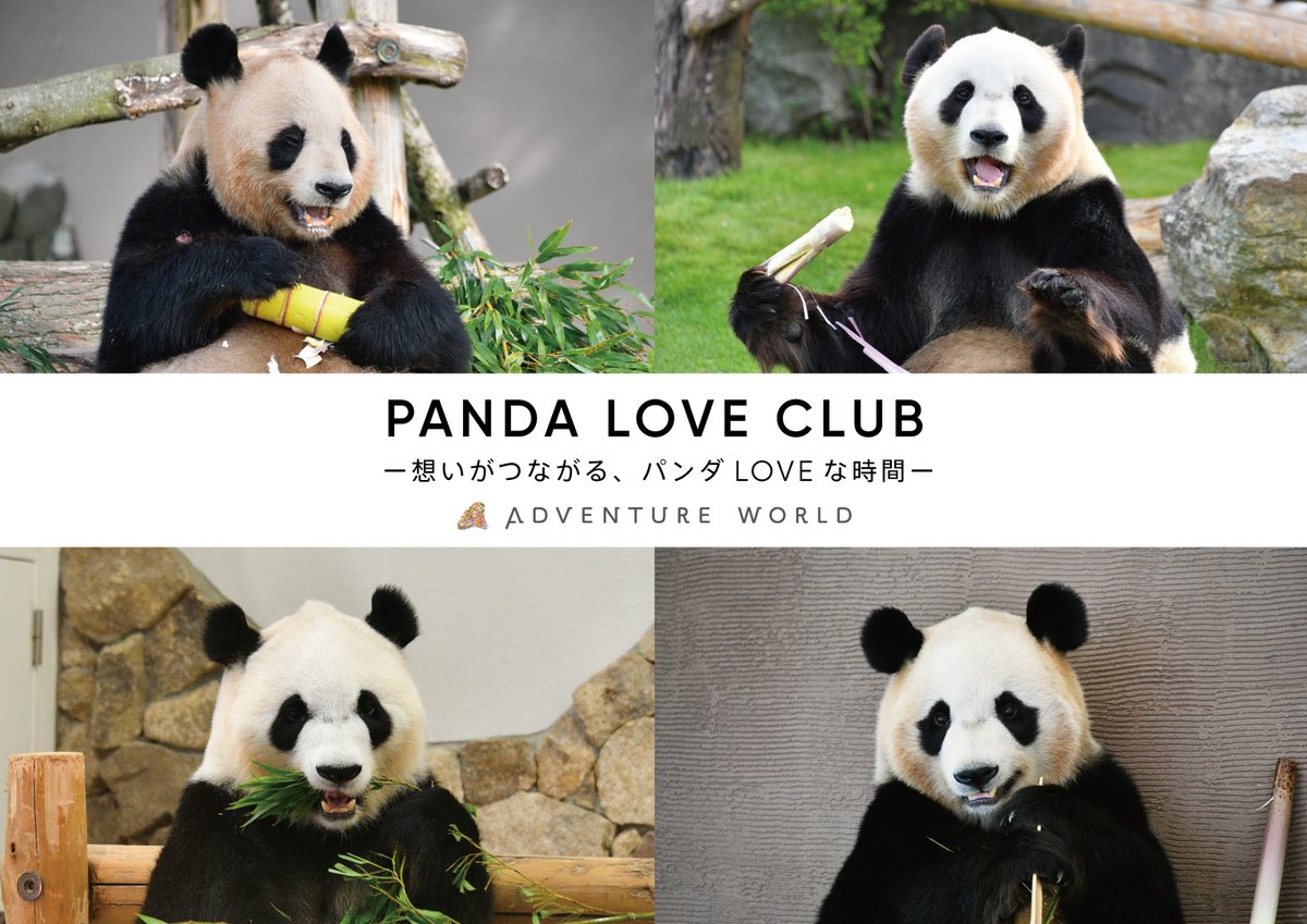 Gx0eCVvbsAA05hU.jpg?format=jpg