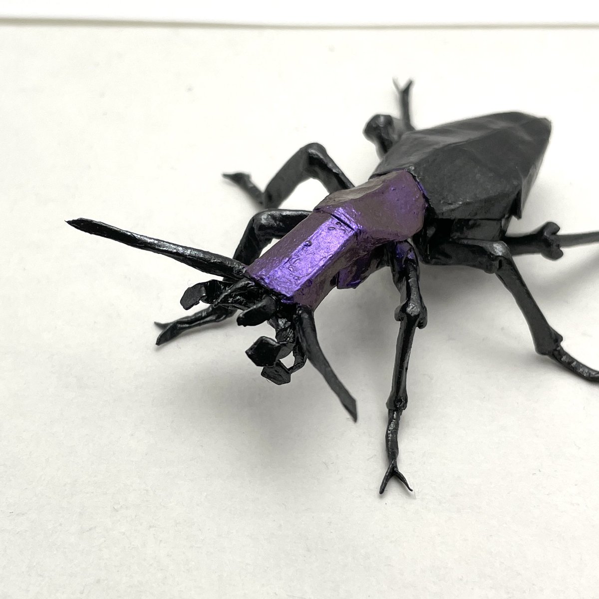 634さんのマイマイカブリ。 