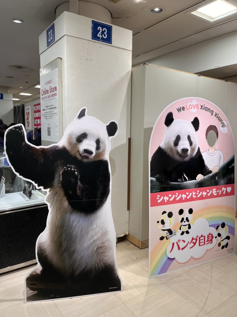 会議中のパンダ様 hq720.jpg?sqp=-