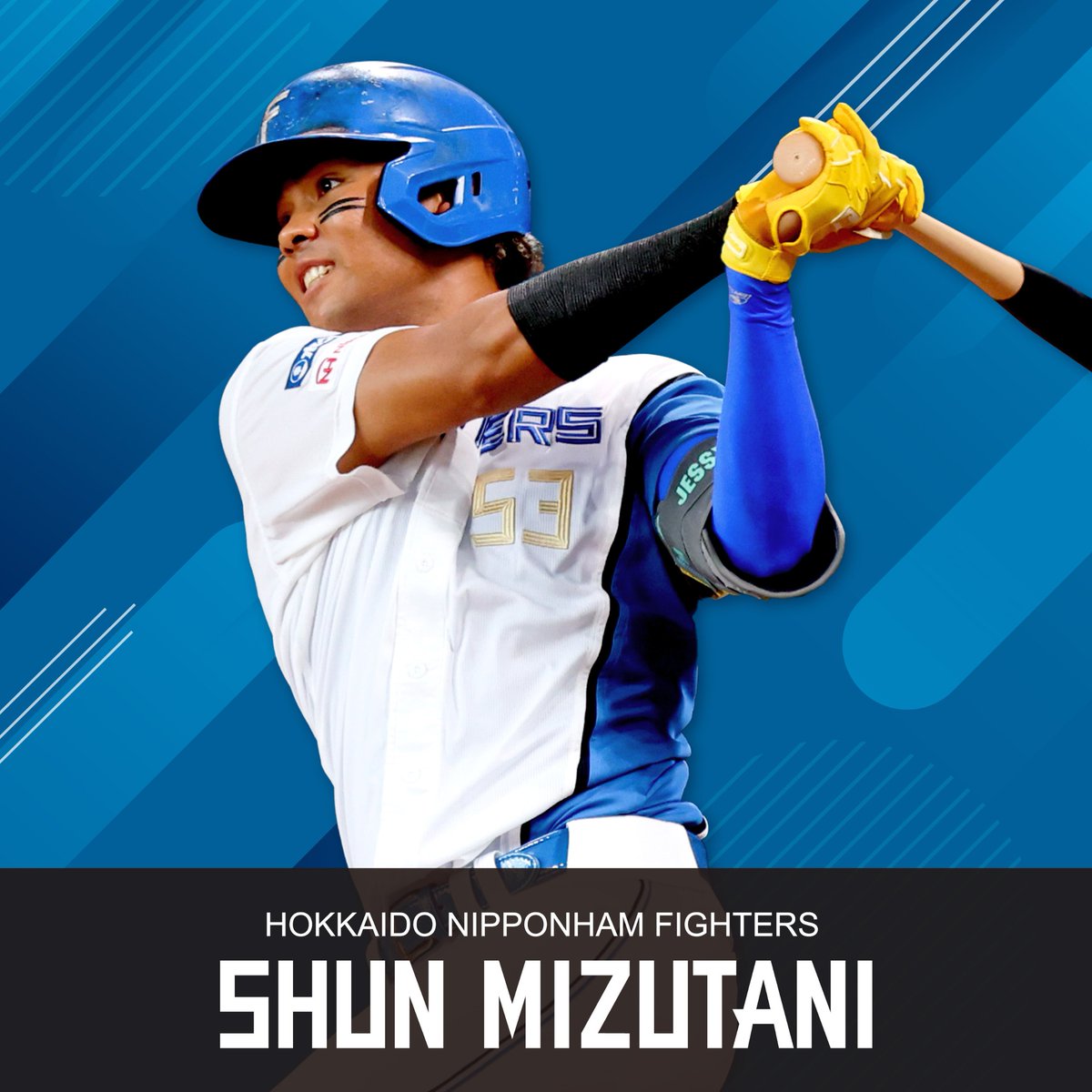 水谷瞬 ジェシー オリジナル 日ハム ユニフォーム 日本ハム