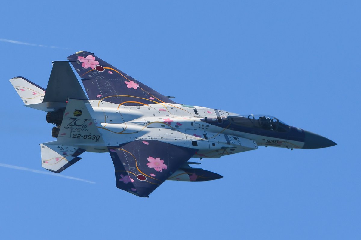 you picking japan's cherry blossom F15 or saudi's national day F15?
