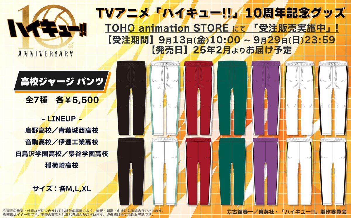 ハイキュー】 ◤￣￣￣￣￣￣￣￣￣￣￣ ˗ˏˋ 10th Anniversaryˎˊ