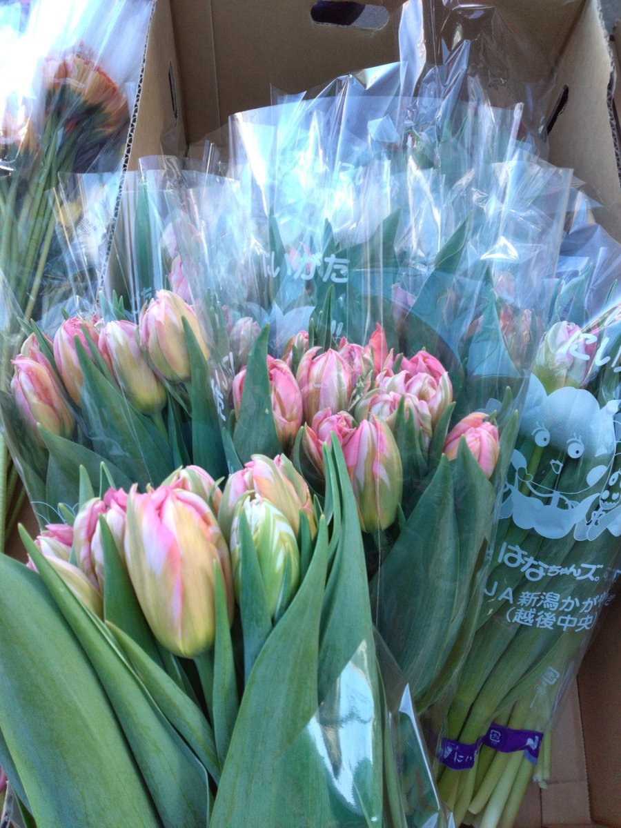 ワールドフラワーオープンしております✨️ 本日も朝から新鮮な切花