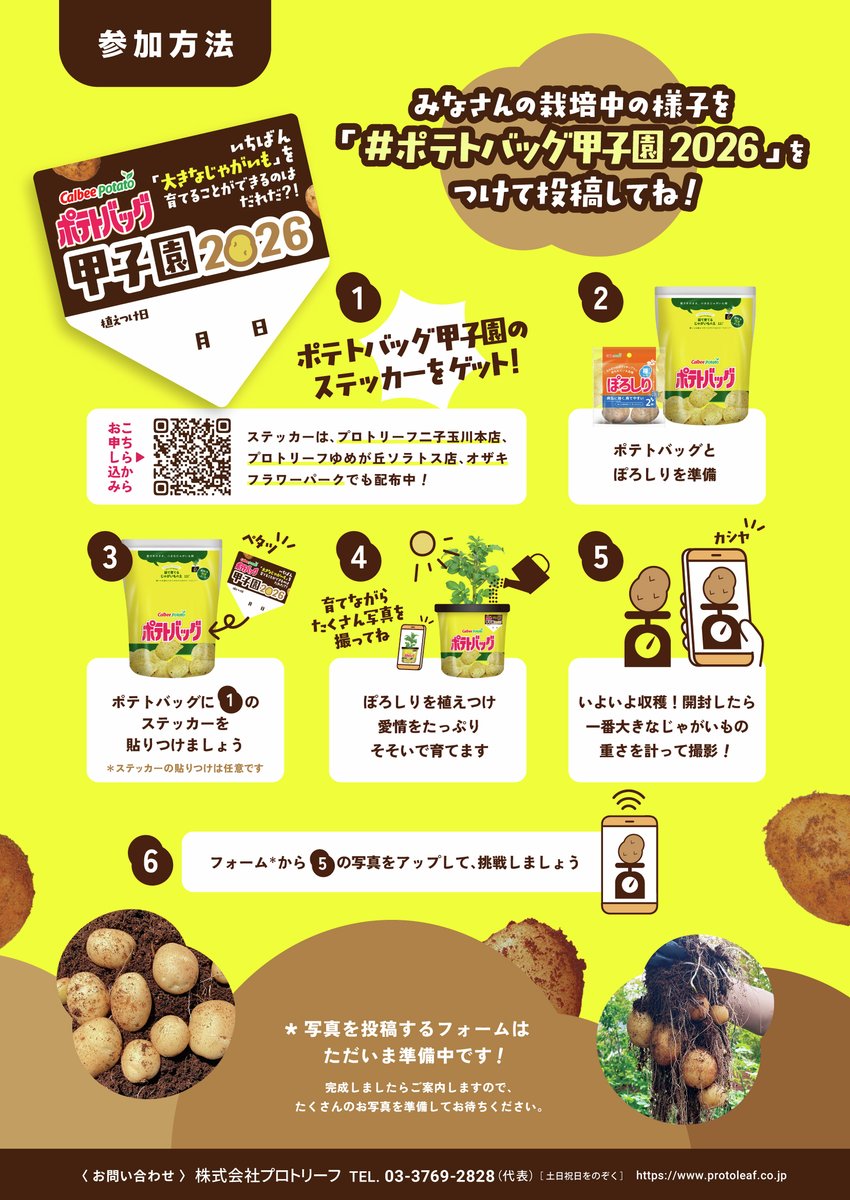 ポテト【プロフ必ず見てください】ページ ポテチ.jpg?fit=1024,555&ssl=1