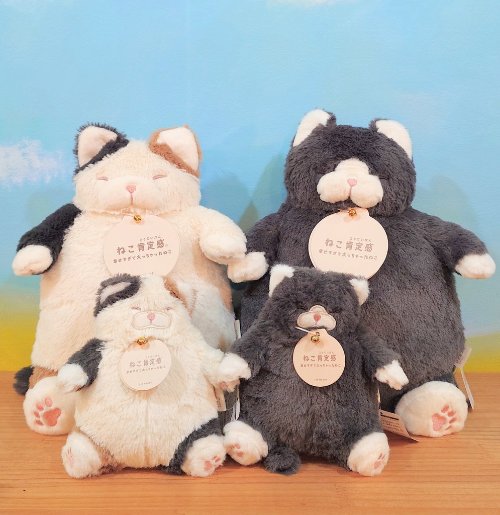 先日ご紹介した幸せ太りの猫ちゃん (ねこ肯定感というシリーズ) 大きい