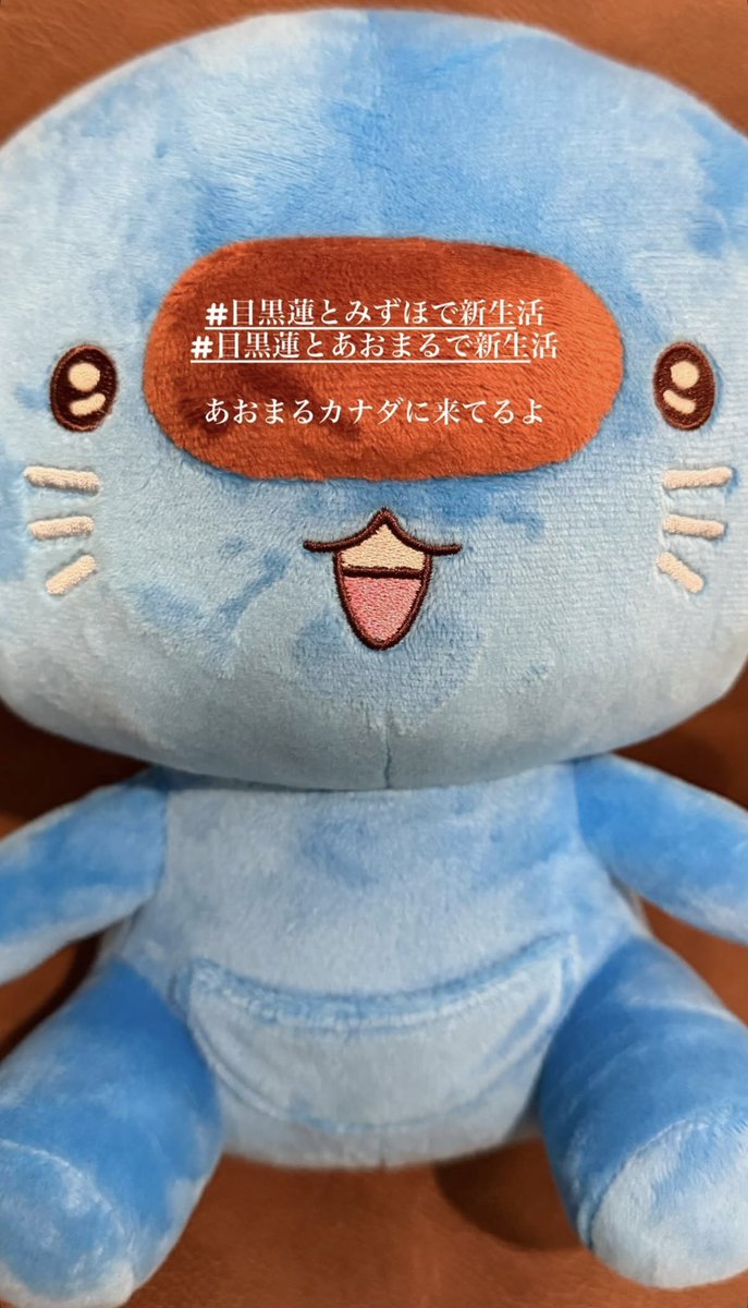 目黒蓮、カナダに「あおまる」ぬいぐるみ連れ新生活スタート