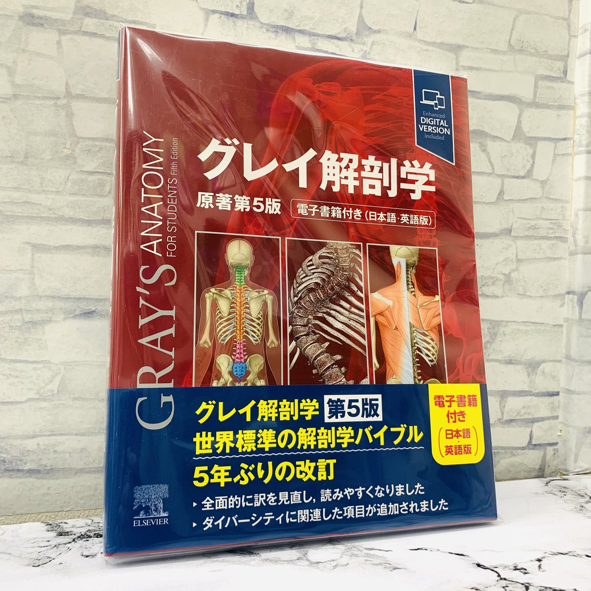 グレイ解剖学 書籍]⁄グレイ解剖学 ⁄ 原タイトル:GRAY'S ANATOMY FOR
