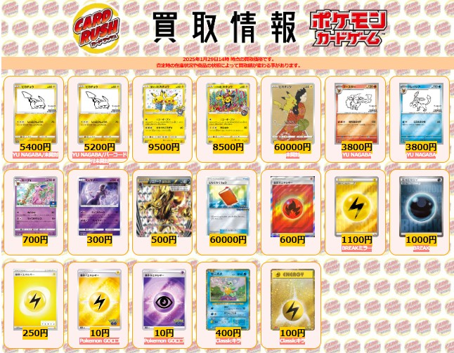 ポケモンカード 【✨買取情報⑧✨】 ピカチュウ YU NAGABA/未開封