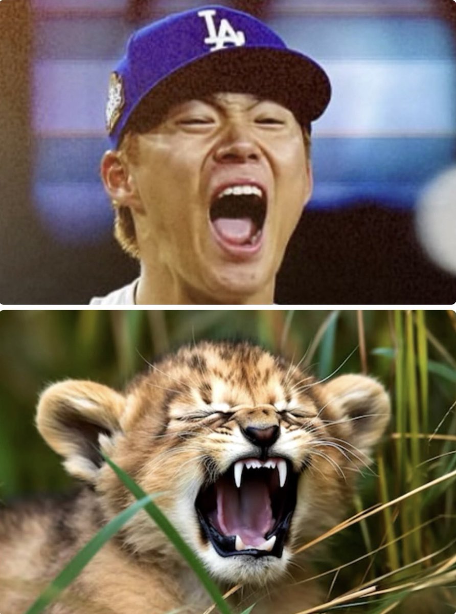 山本由伸投手の新グッズ 「ベイビーライオンTシャツ」が可愛すぎる