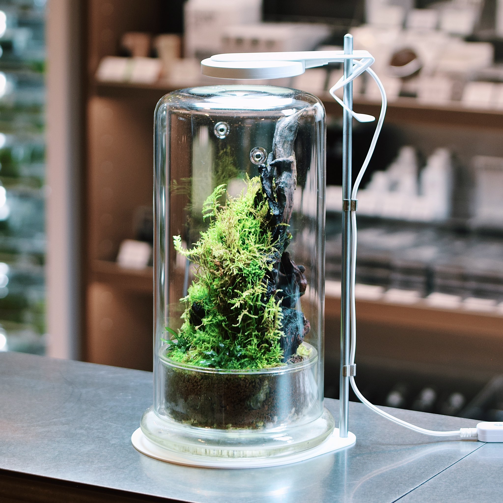 ADA LAB マグネットライトセット ADA LAB マグネットライトセット ADA