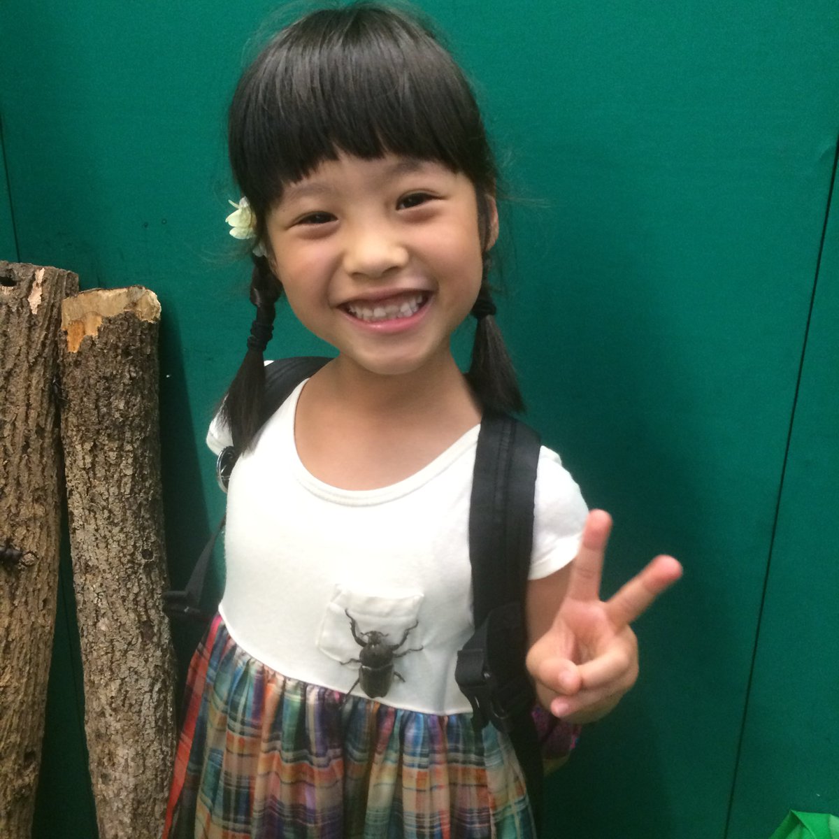 Post by coco on X: よく見てください