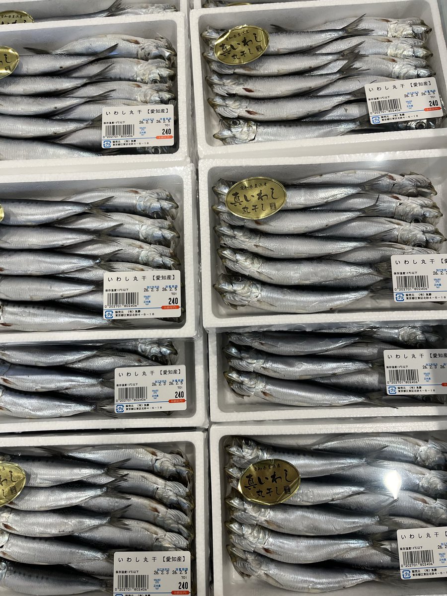 砂町銀座商店街 #砂町銀座 #魚勝 #砂町銀座魚勝 #砂町銀座商店街魚勝