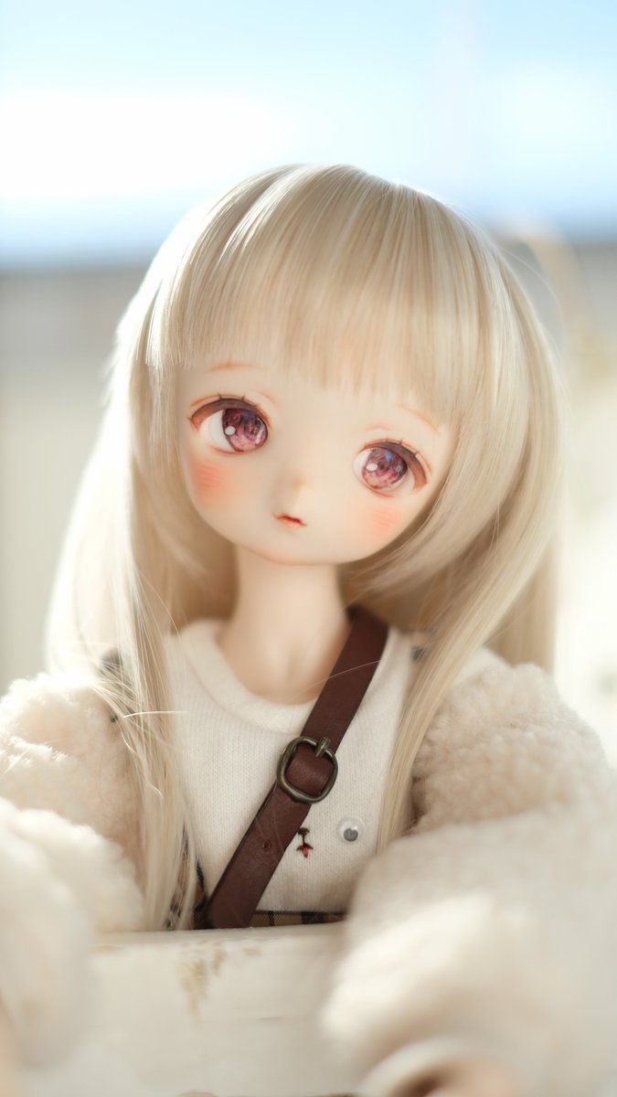 𝘱𝘰𝘮𝘢𝘳𝘪🦙 (@pomari_kiichigo) / Posts / X