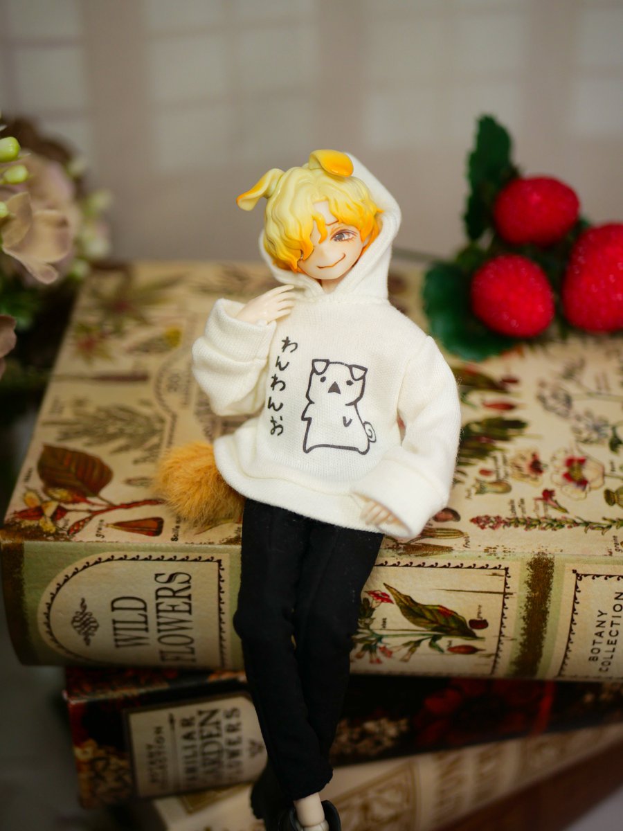 Doll's Myth.公式 (@dolls_myth) / Posts / X