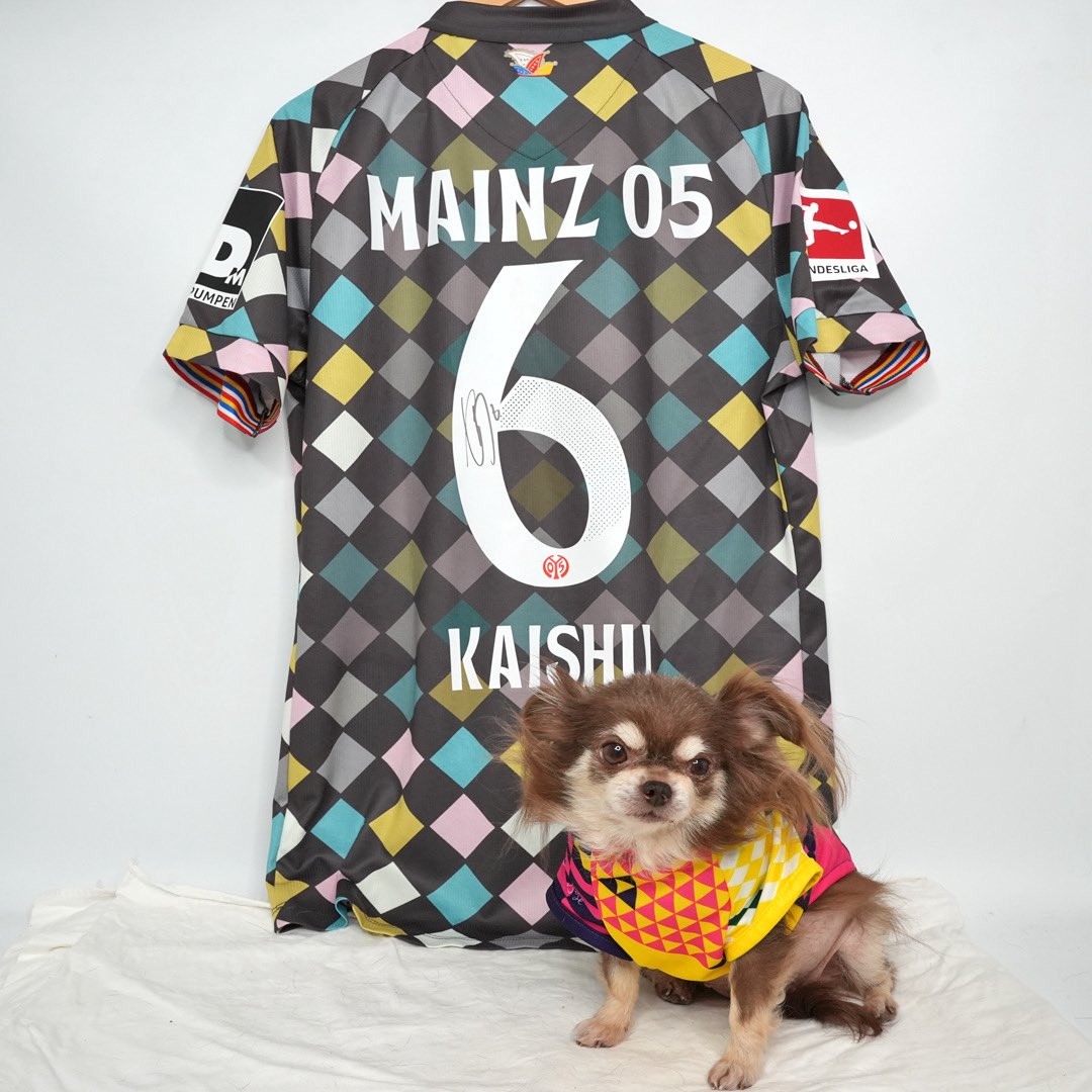 MatchWornShirtから佐野海舟の実使用サイン入りのカーニバルユニが届き