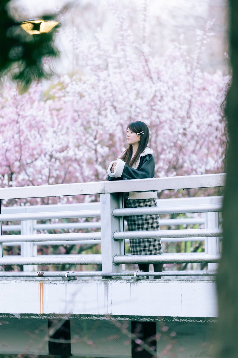 刹那 (@stn_lv2) / Posts / X