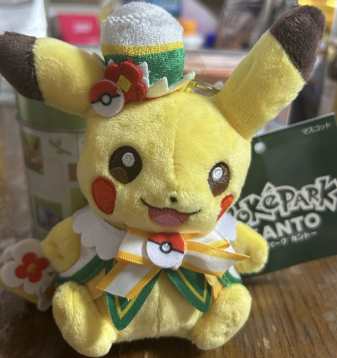 娘がポケパーク行ったので、選別渡してお土産頼みました。そこでしか