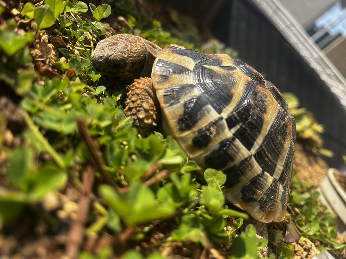 亀田kameta (@kameta0521) / Posts / X