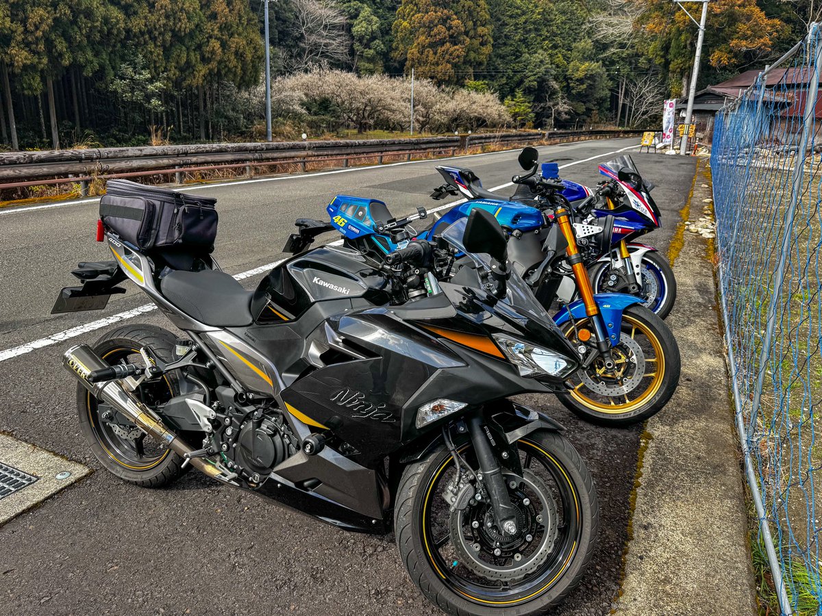 みっちゃん🦑 (@mi_ko_xxxx_ex) / Posts / X