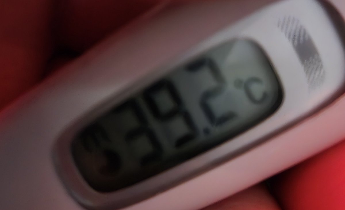 ととみ.サブ垢 (@Marltoto) / Posts / X