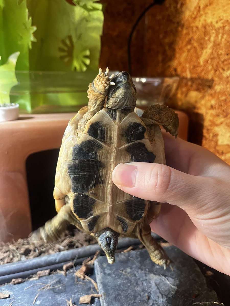 亀田kameta (@kameta0521) / Posts / X