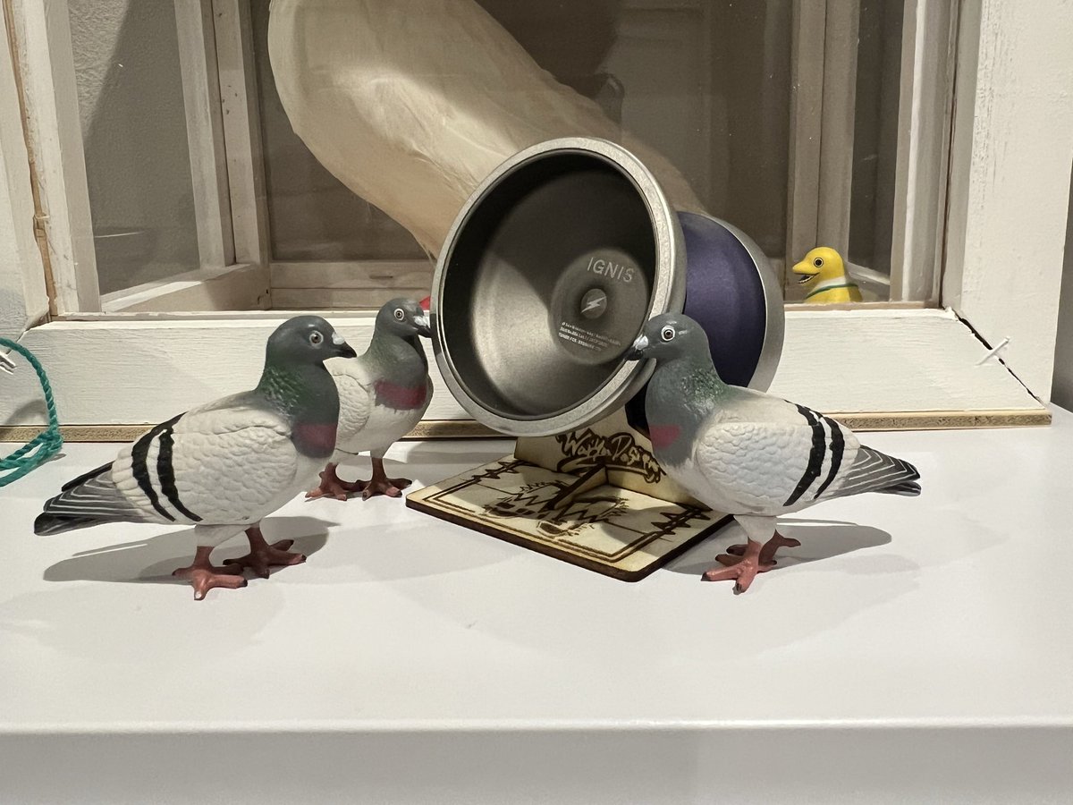 また一転してリラヨー行けることになりました！ でも追追イグニスも