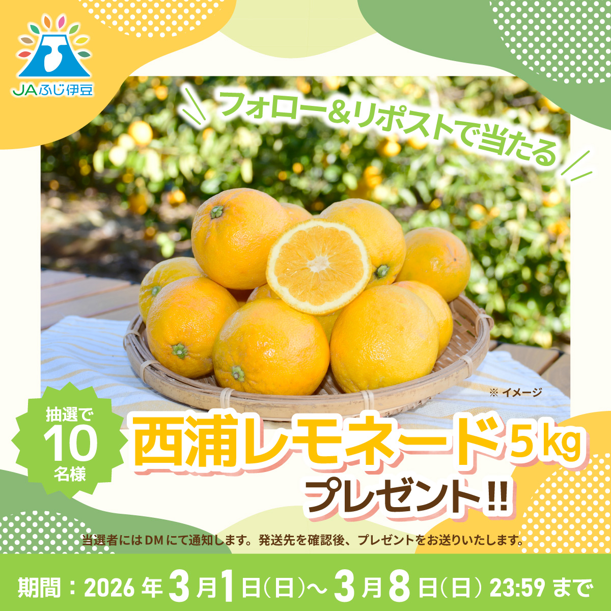 みかんノート (@mikanflavor1) / Posts / X