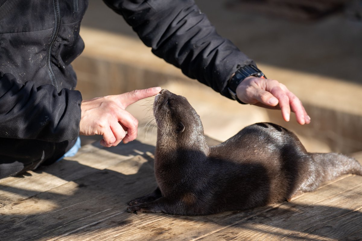 Post by 西位 輝実 NlSHII Terumi on X: 美味しそう〜〜