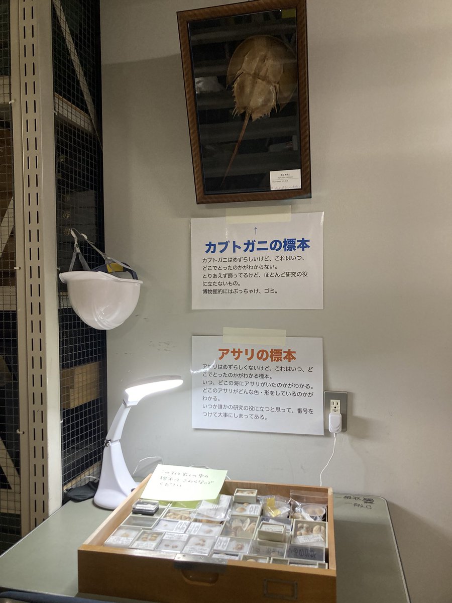採集データのない標本は，データのある標本に比べて学術的価値が相対的