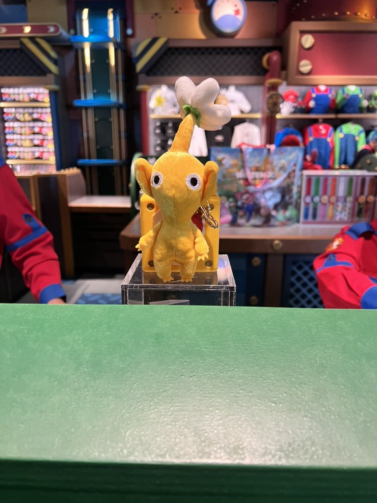 まめちゃん🌱 (@tamachankamoyo) / Posts / X