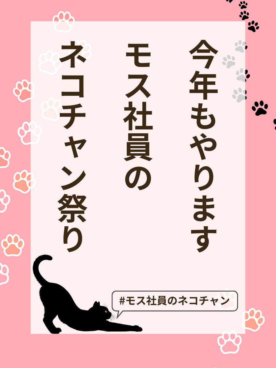 やっぱりネコチャン祭りにまでベトナム人のポストされてる。今日は猫の