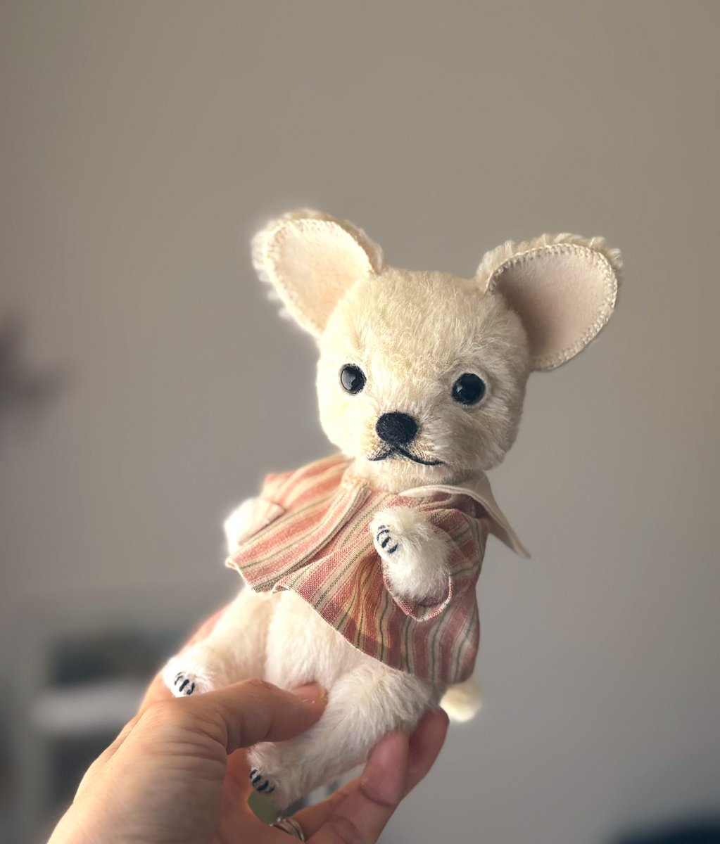 ゆっち mironuts𓀫 (@mironuts) / Posts / X