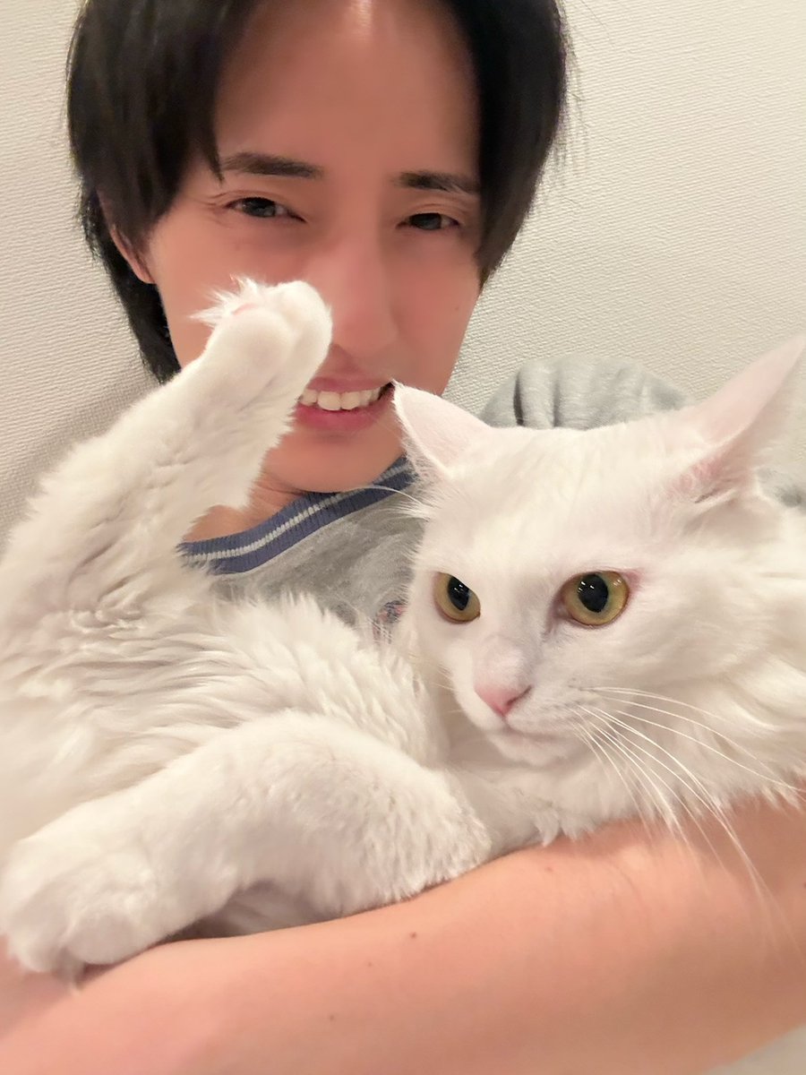 我が家のにゃんこも しーちゃんと同じ白猫ちゃんなの🐱🤍 のえさんの