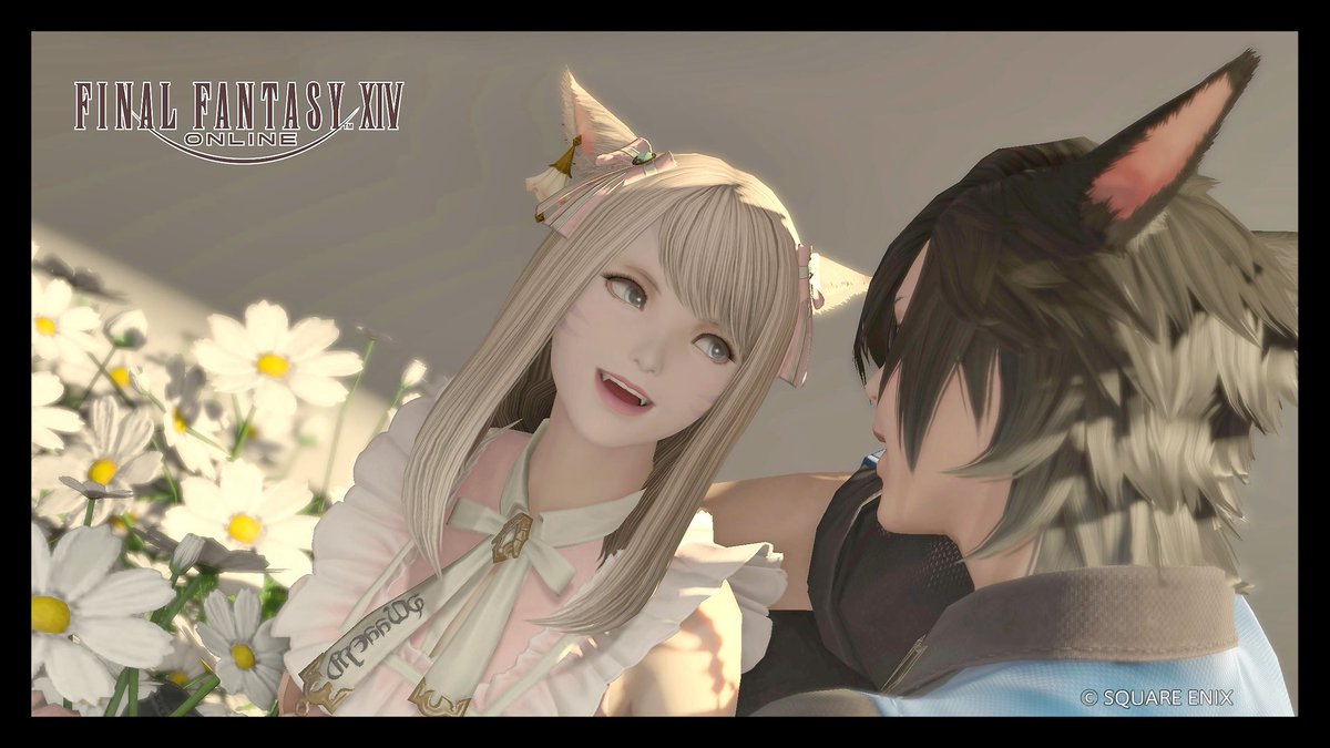 トラちゃん (@tora_cyatora) / Posts / X