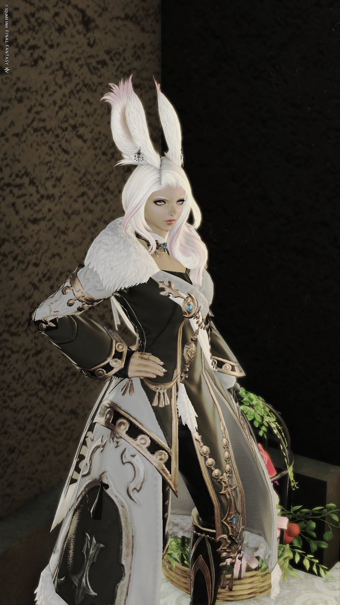 🐰#SilentLux 🐰 しばらくお邪魔します✨ #SilentNox #ヴィエラ #Viera