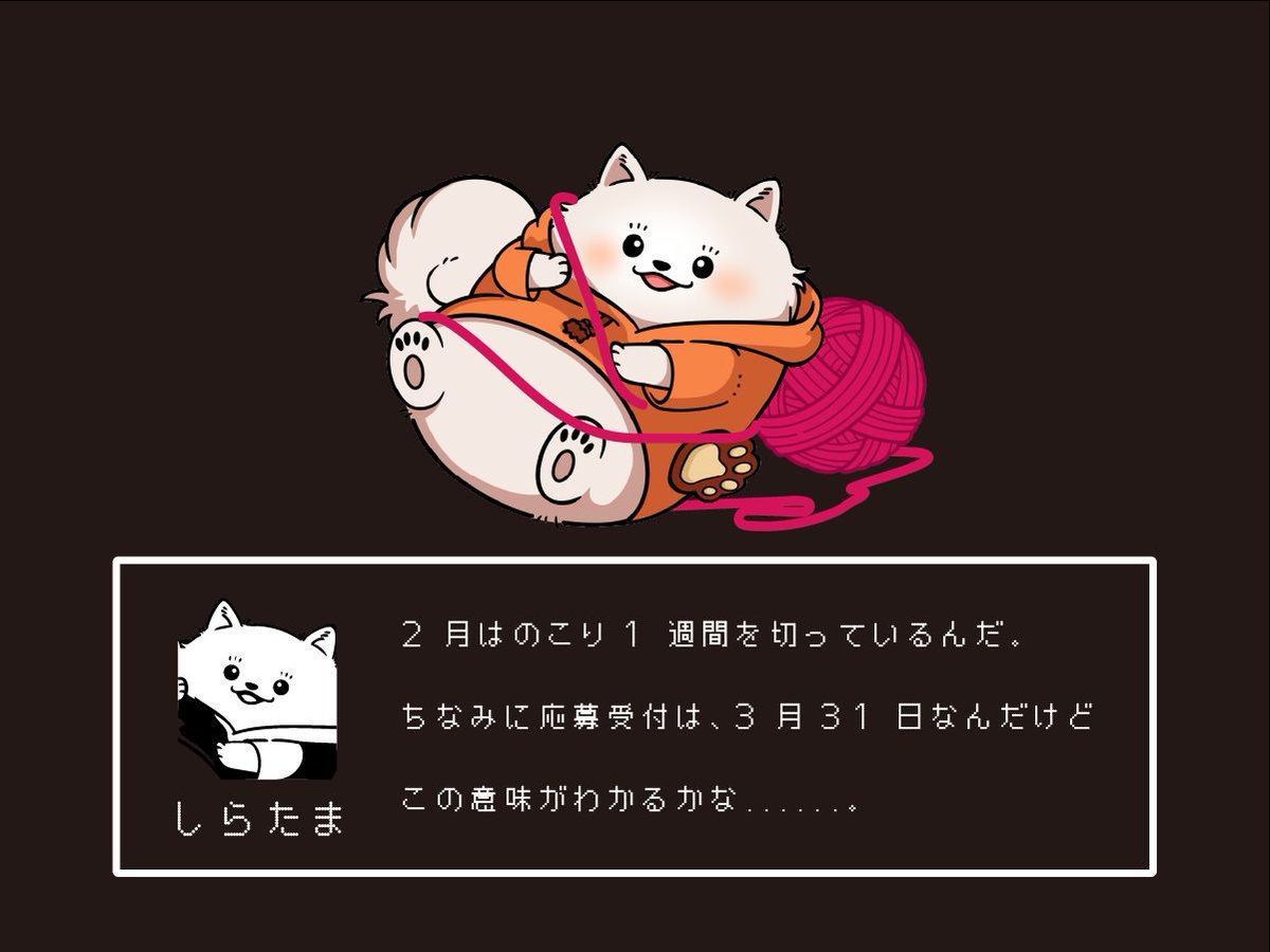 本日は猫の日にちなみ、毛玉にたわむれる「しらたま」をお届けします