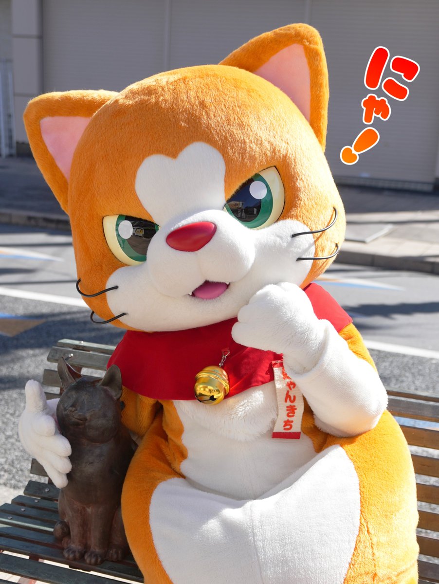 にゃん吉【公式】Nyankichi (@cat_nyankichi) / Posts / X