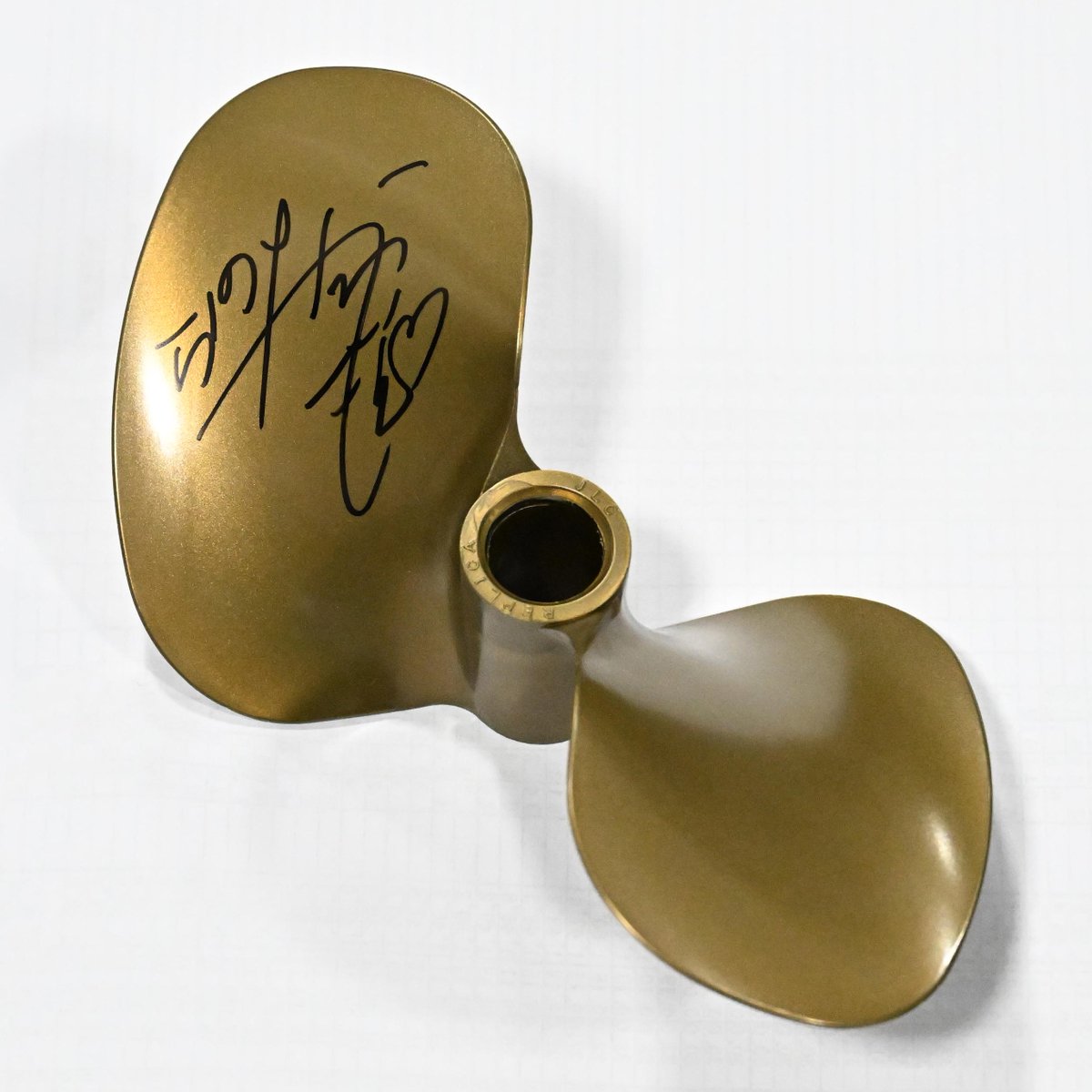 🚤🏆 プレミアムGⅠスピードクイーンメモリアル 開催記念プレゼント