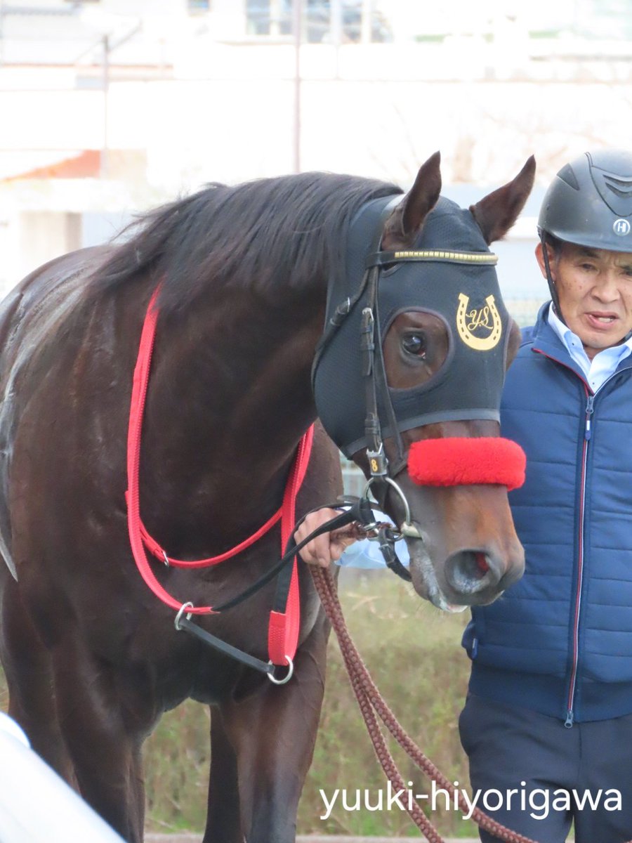 Yuuki Hiyorigawa【⋈】 (@yuuki_admiral) / Posts / X