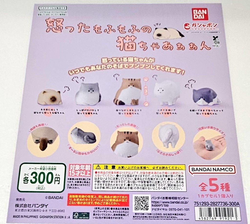 ✨🆕新商品情報🆕✨ 怒ったもふもふの猫ちゃあぁぁん 怒った猫ちゃあぁ